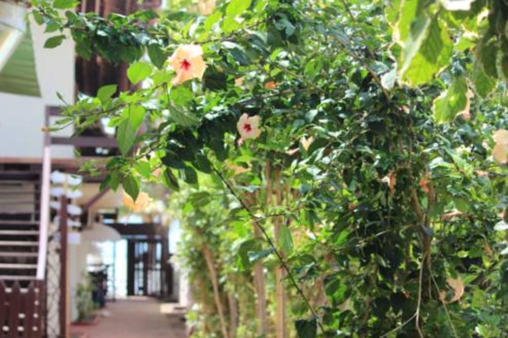 Pousada Parador 081 Porto de Galinhas Exterior foto